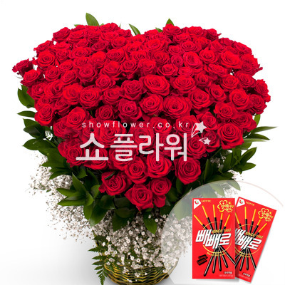올인 100송이 빼빼로
