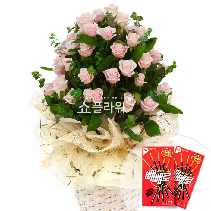 상세이미지