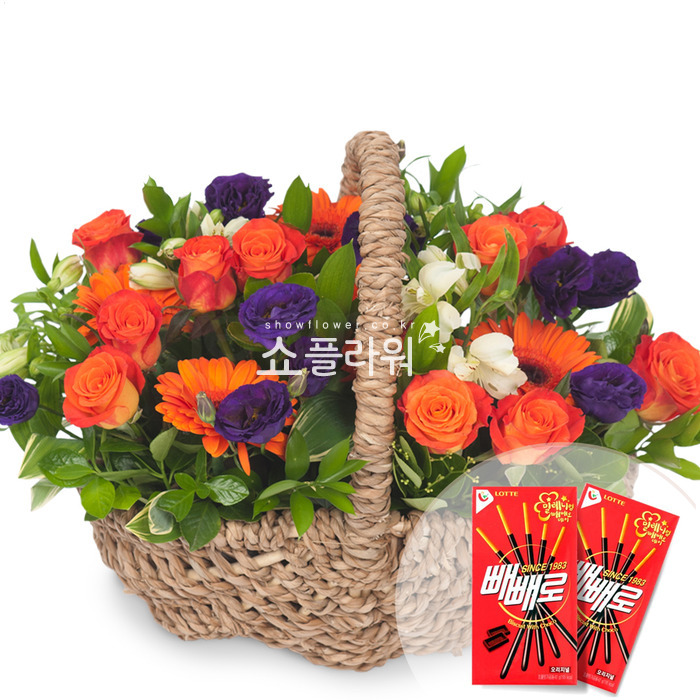 상세이미지