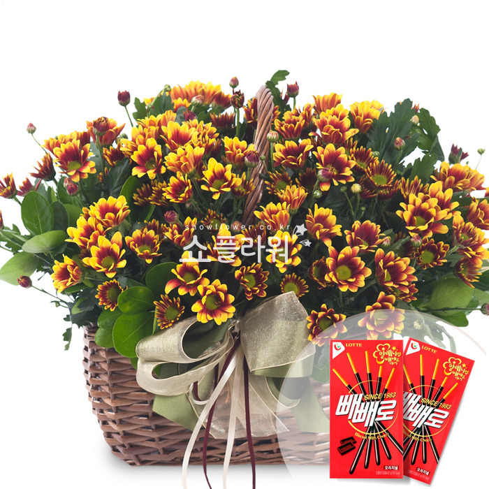 상세이미지