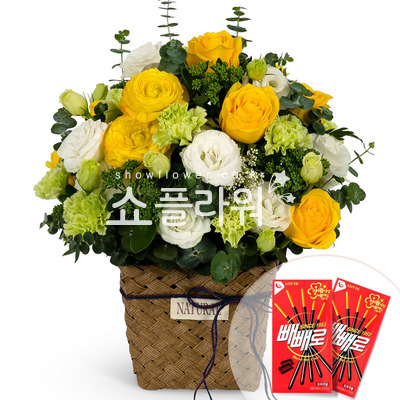 그린나래