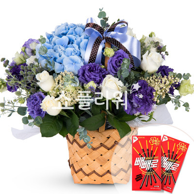 보라보라