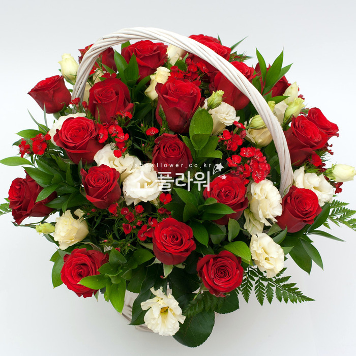 상세이미지