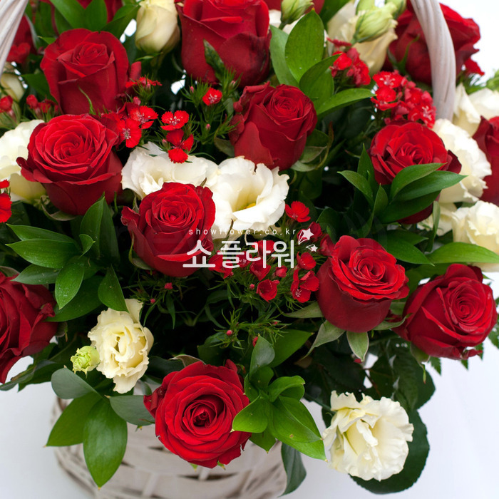 상세이미지