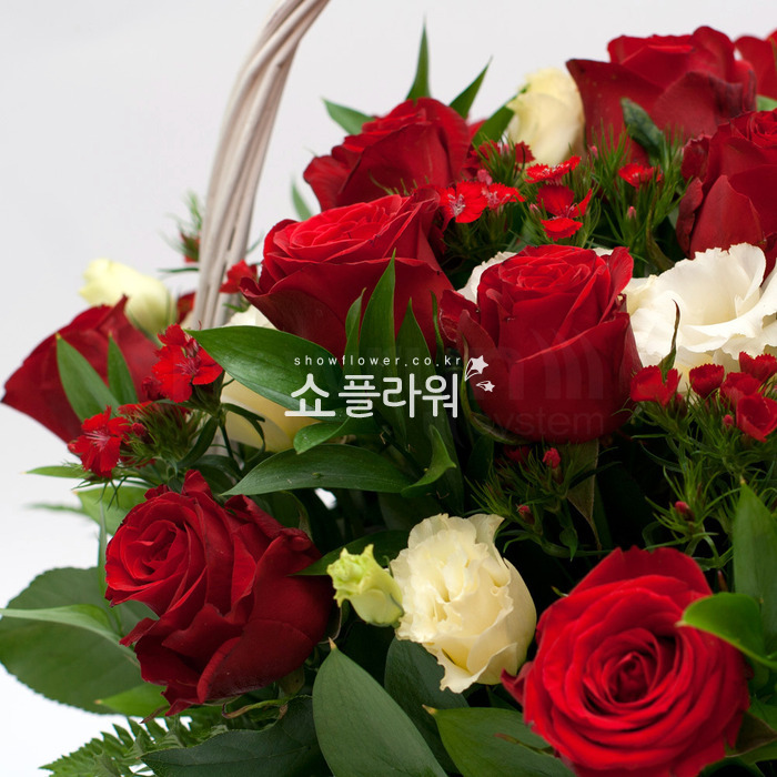 상세이미지