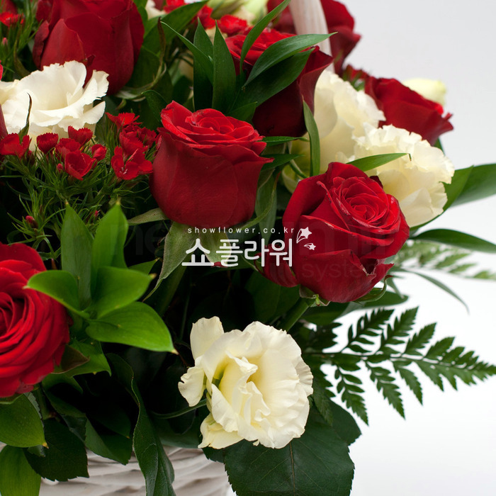 상세이미지