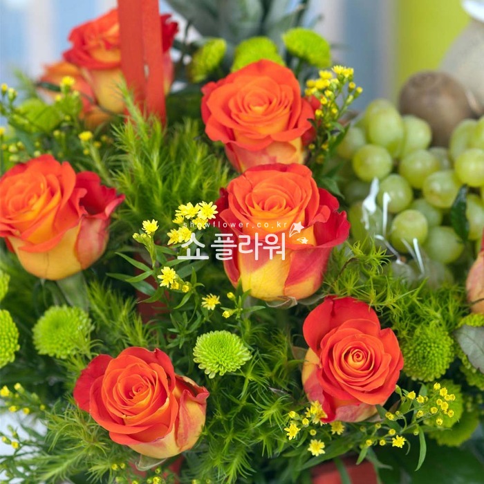 상세이미지
