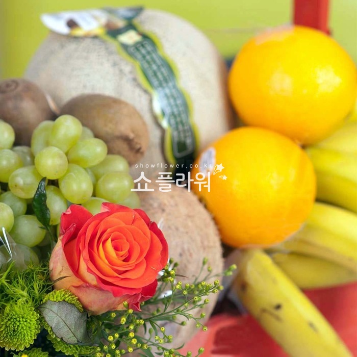상세이미지