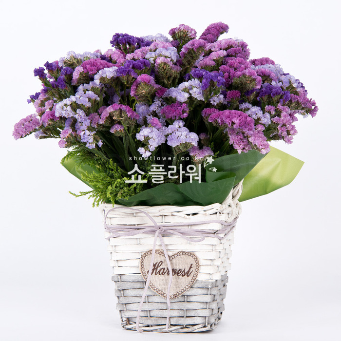 상세이미지
