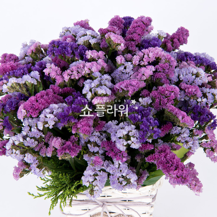 상세이미지