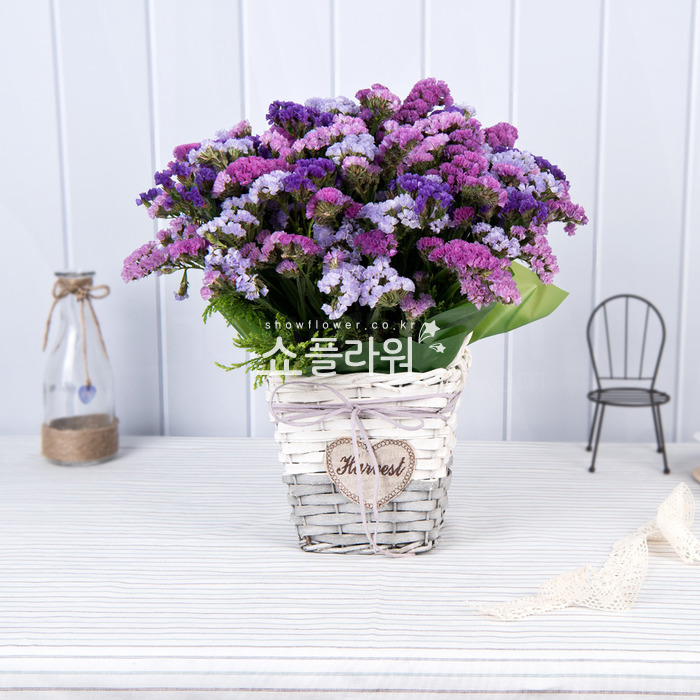 상세이미지