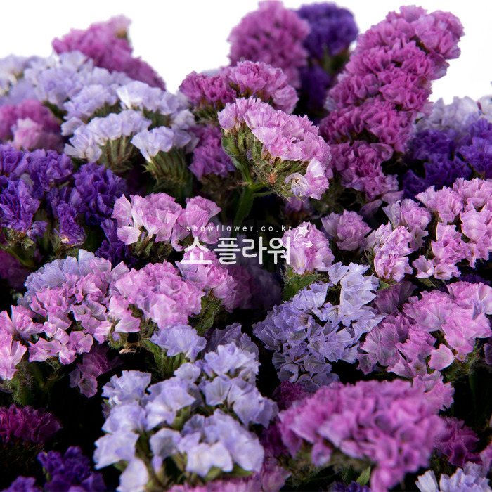 상세이미지