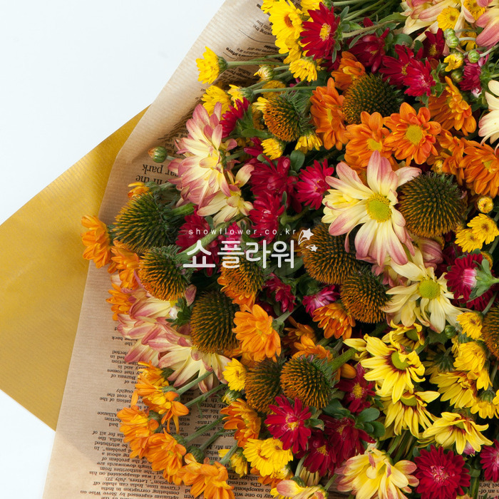 상세이미지