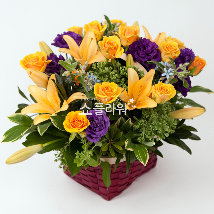 상세이미지