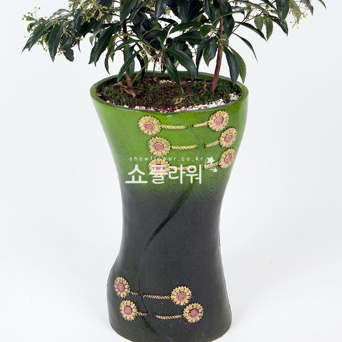 상세이미지