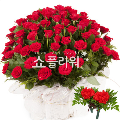 감사합니다 1호(코사지별도)