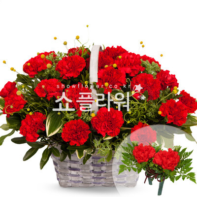 깊은 사랑(코사지별도)