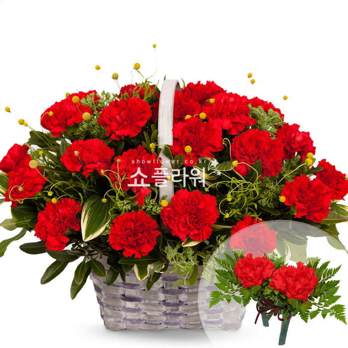 상세이미지