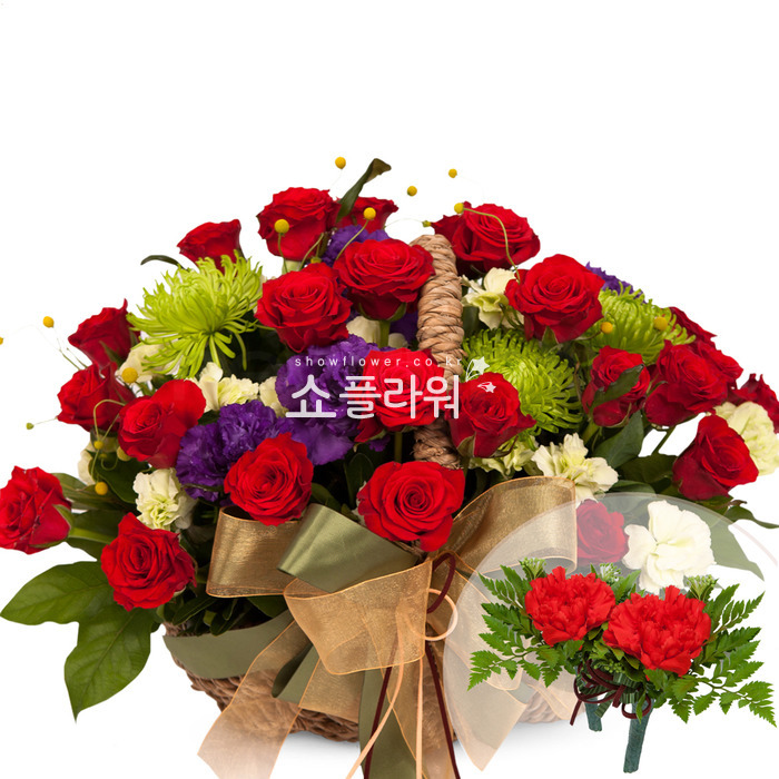 상세이미지