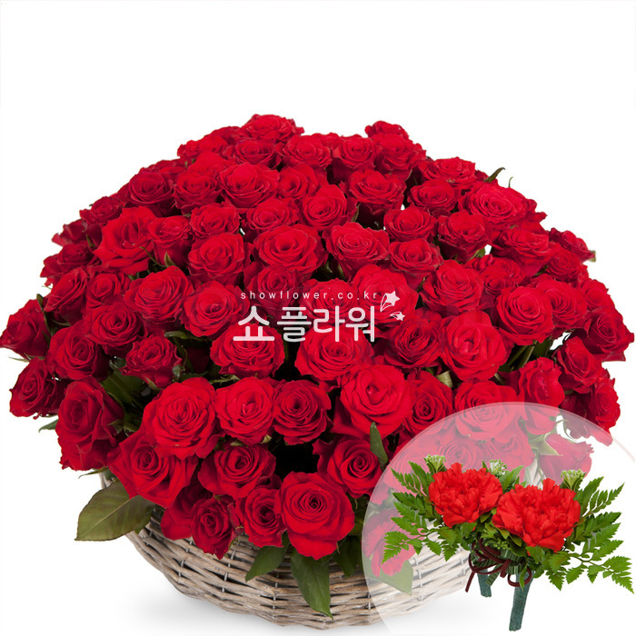 상세이미지