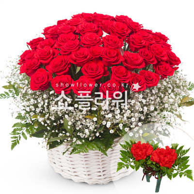 나의 사랑 그대(코사지별도)