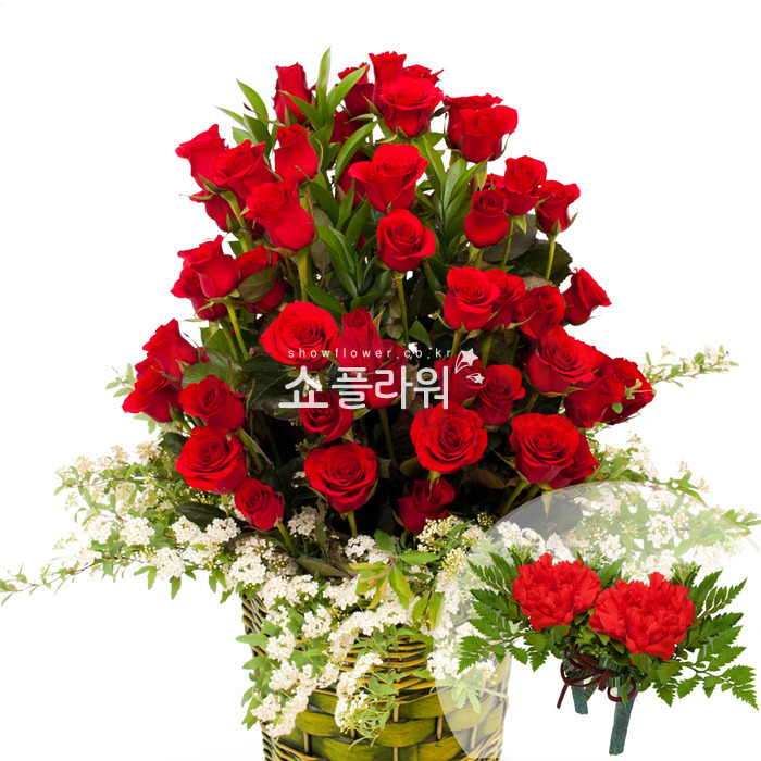 상세이미지
