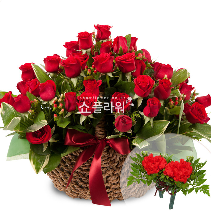 상세이미지