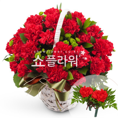 한없는은혜(코사지별도)