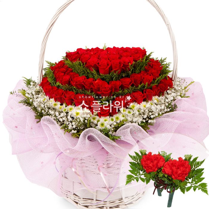 상세이미지
