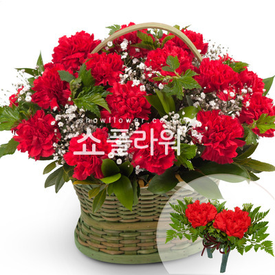 꽃행복209호(코사지별도)