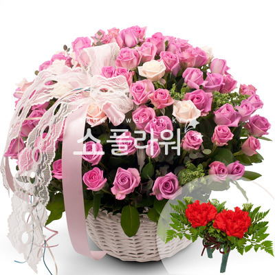꽃행복341호(코사지별도)