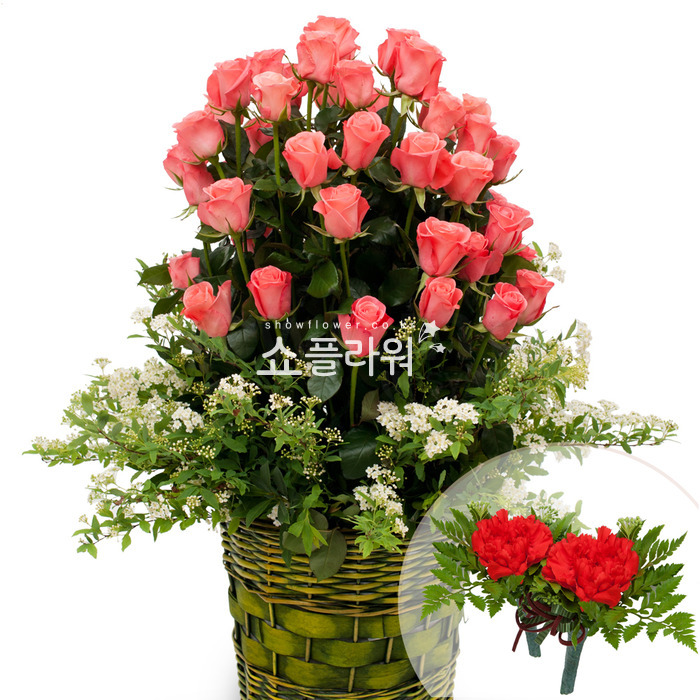 상세이미지