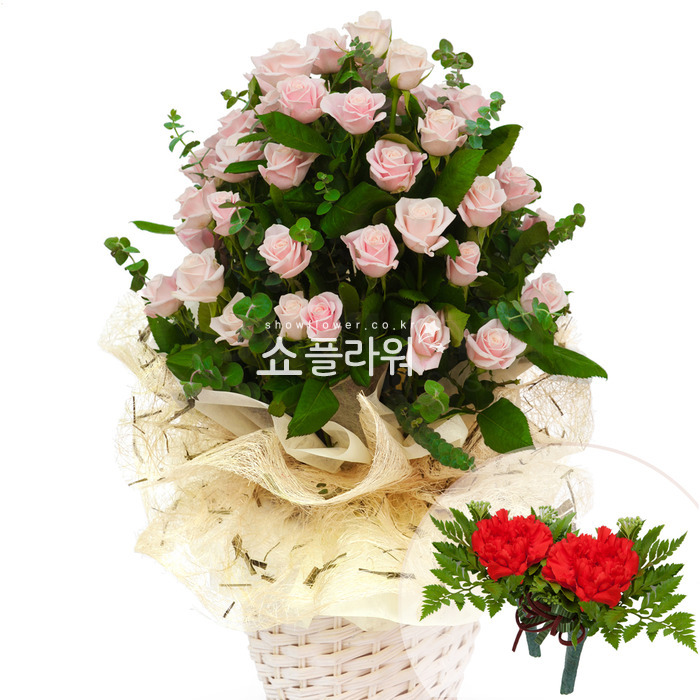 상세이미지
