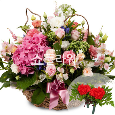 카네이션바구니(코사지별도)