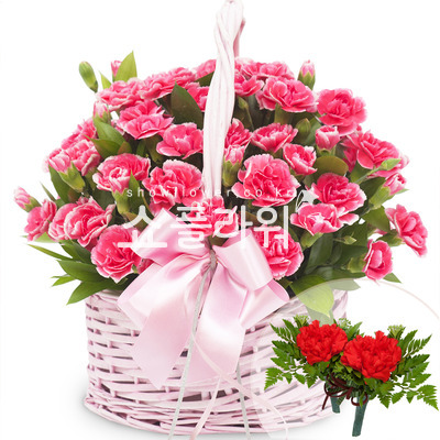 꽃행복340호(코사지별도)