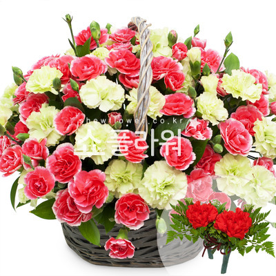 그대는 햇살(코사지별도)