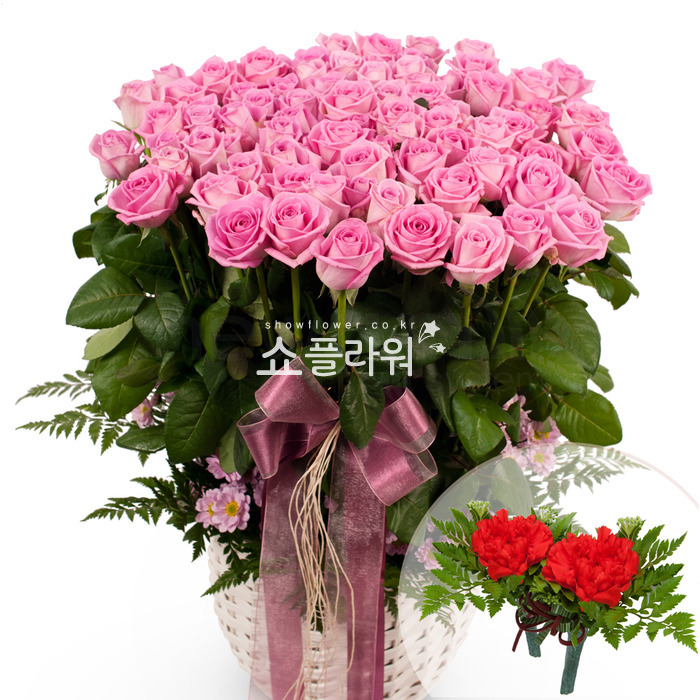 상세이미지