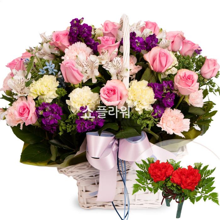 상세이미지