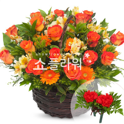 행복한 만남(코사지별도)