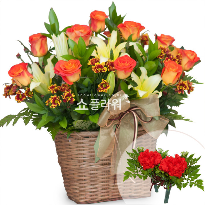 상세이미지