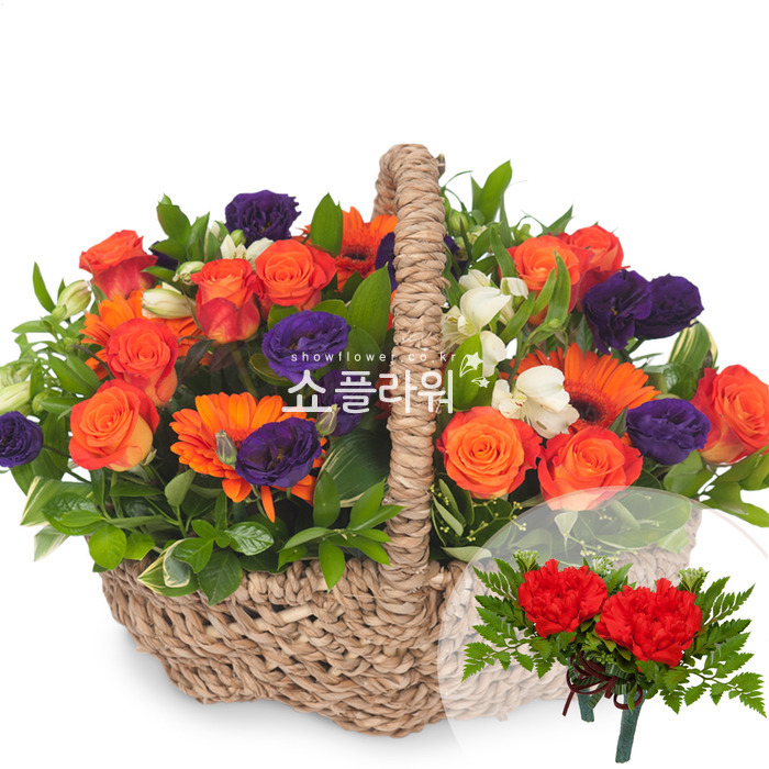 상세이미지