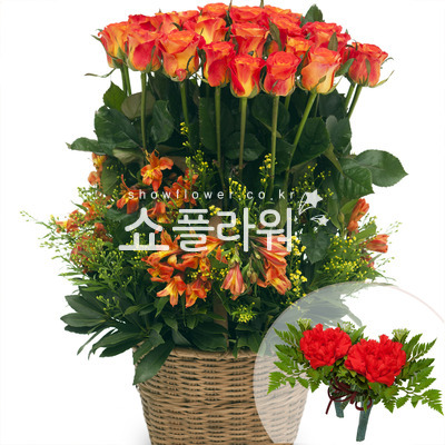주황색장미바구니(코사지별도)