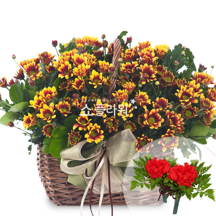 상세이미지