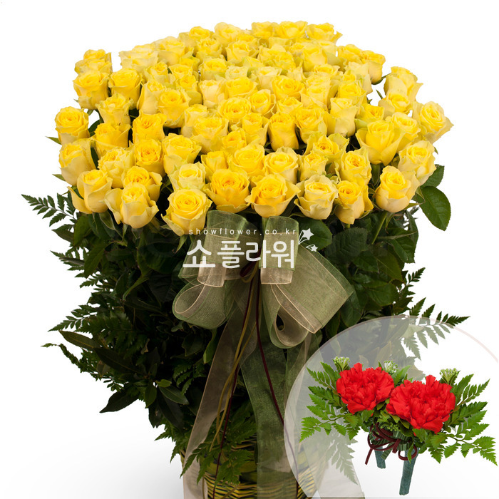 상세이미지