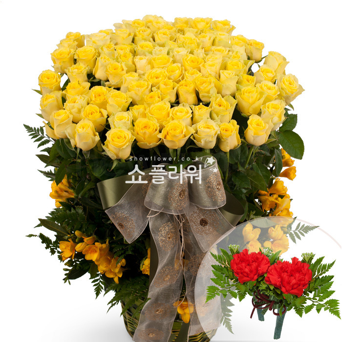 상세이미지