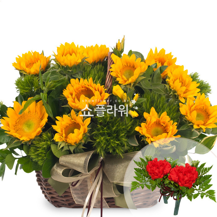 상세이미지
