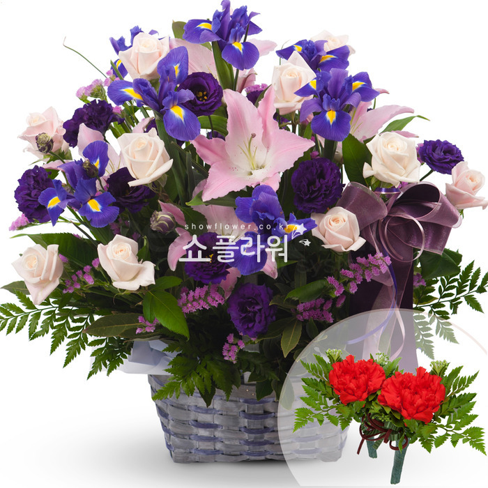 상세이미지