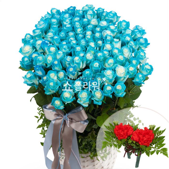 상세이미지