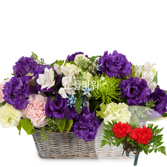 상세이미지