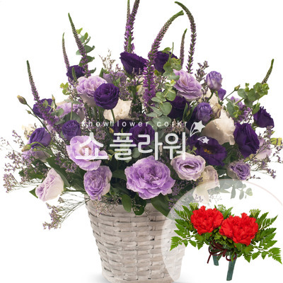 보라리시안바구니(코사지별도)